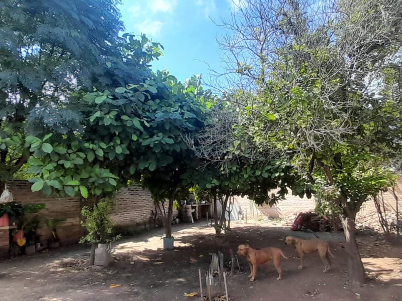 Vendo casa con título de Propiedad.