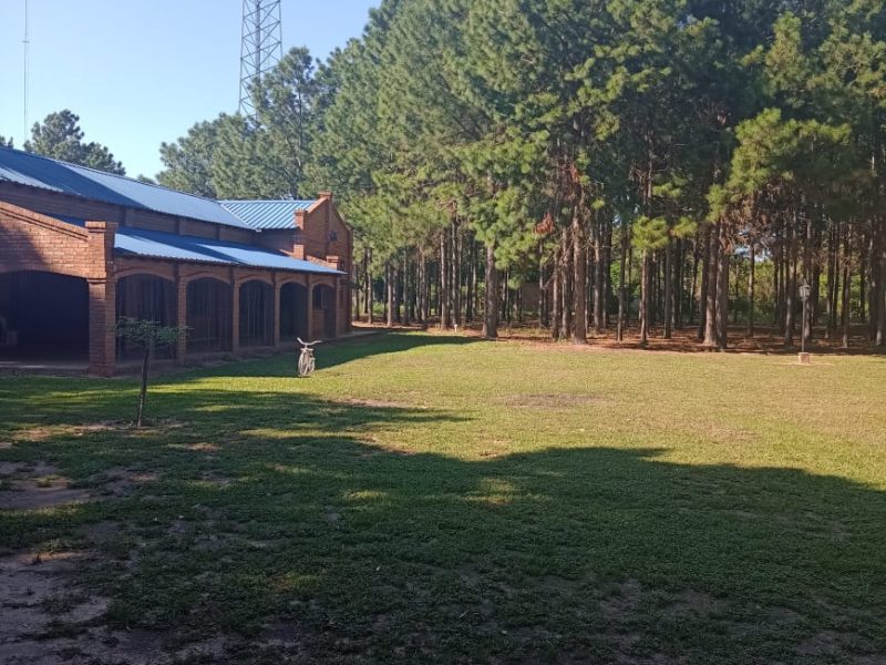 Casa quinta