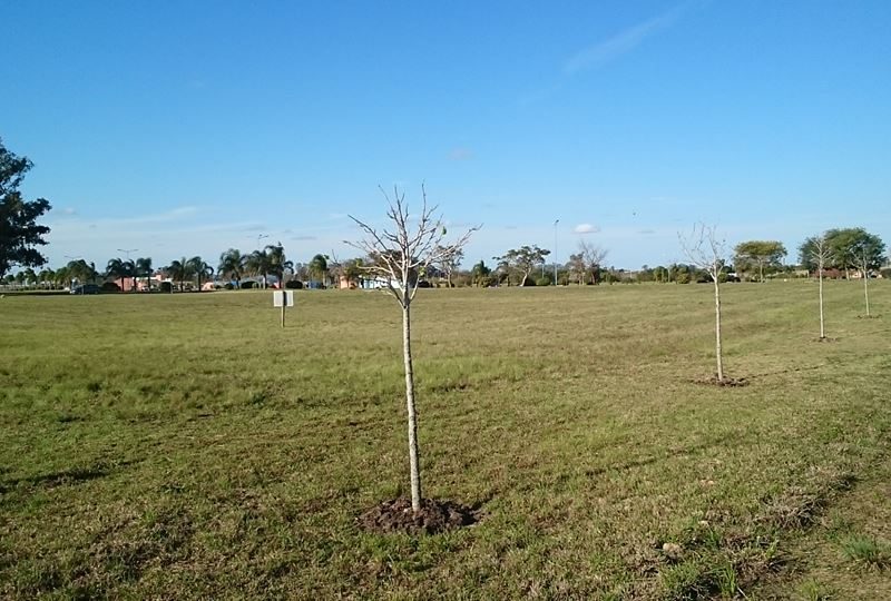 Terreno en Complejo Termal