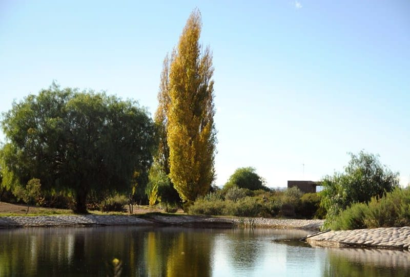VENDO LOTE EN CLUB DE CAMPO PUEBLO BENEGAS