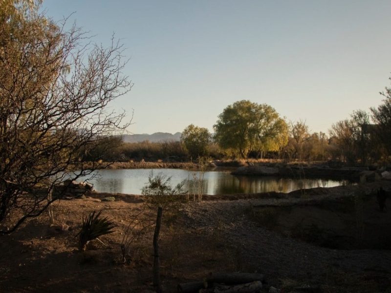 VENDO LOTE EN CLUB DE CAMPO PUEBLO BENEGAS