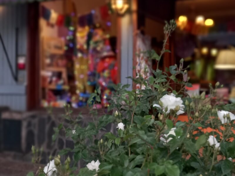Venta fondo de Comercio.Tienda de diseño.