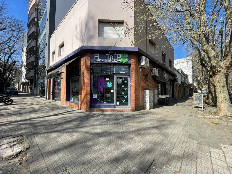 VENTA DE FONDO DE COMERCIO VETERINARIA Y PET SHOP
