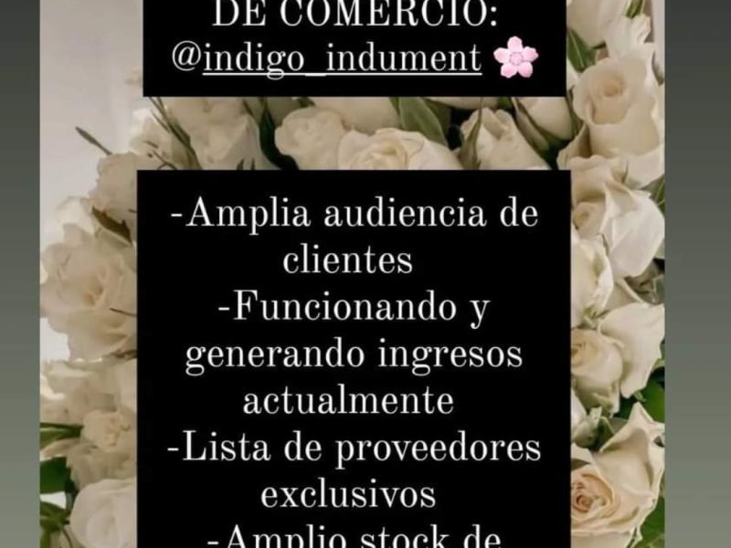 Fondo de comercio